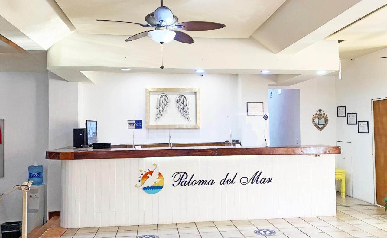 Hotel Paloma Del Mar (Adults Only) Puerto Vallarta Exterior foto